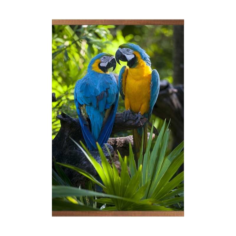 Пленочный обогреватель домашний очаг попугаи